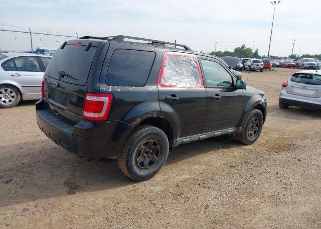2011 FORD ESCAPE XLT