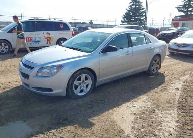 2010 CHEVROLET MALIBU LS