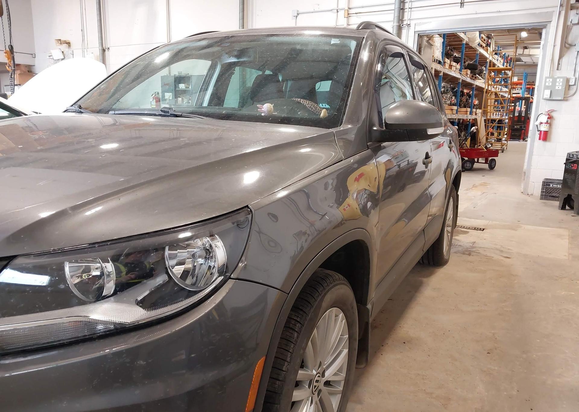 2015 VOLKSWAGEN TIGUAN S