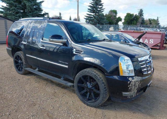 2011 CADILLAC ESCALADE PREMIUM
