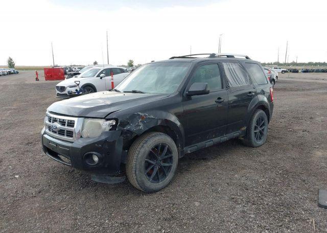 2011 FORD ESCAPE LIMITED