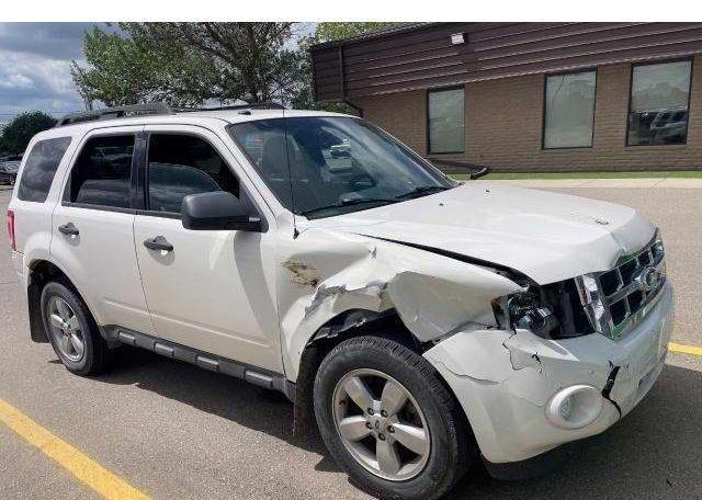2010 FORD ESCAPE XLT
