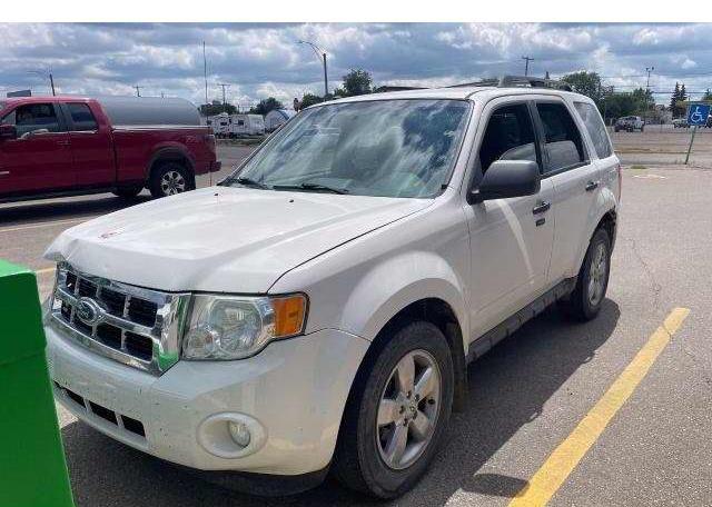 2010 FORD ESCAPE XLT