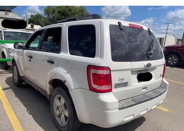 2010 FORD ESCAPE XLT