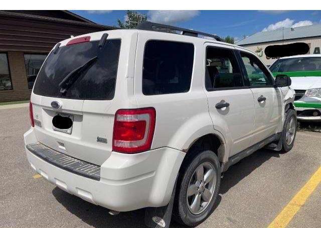 2010 FORD ESCAPE XLT