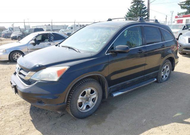 2010 HONDA CR-V EX