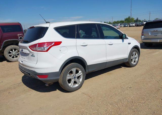 2014 FORD ESCAPE SE