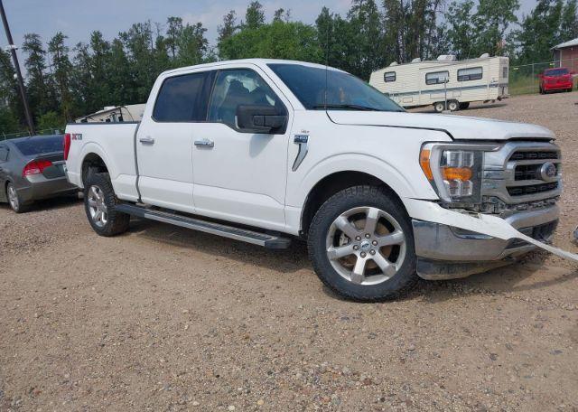 2023 FORD F150 SUPERCREW