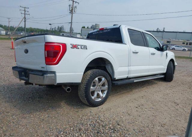 2023 FORD F150 SUPERCREW