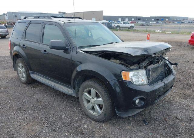 2009 FORD ESCAPE XLT