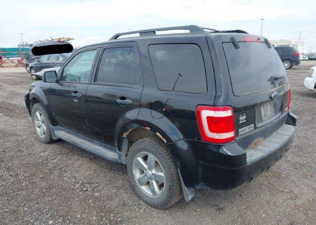 2009 FORD ESCAPE XLT
