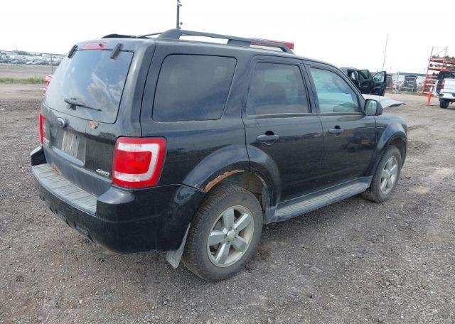 2009 FORD ESCAPE XLT