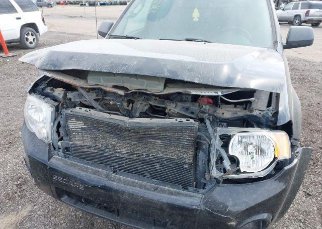 2009 FORD ESCAPE XLT
