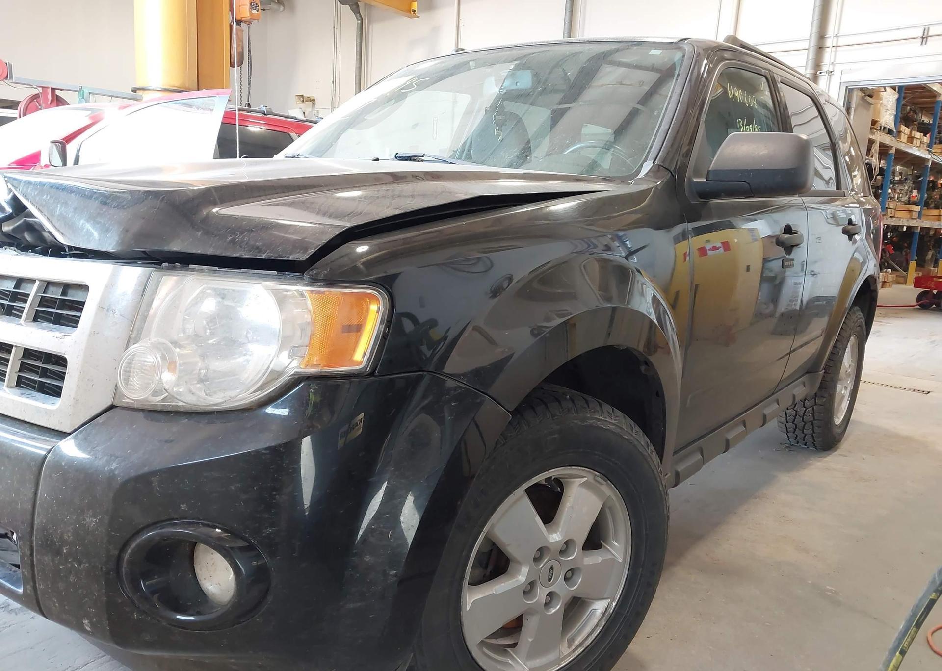 2011 FORD ESCAPE XLT
