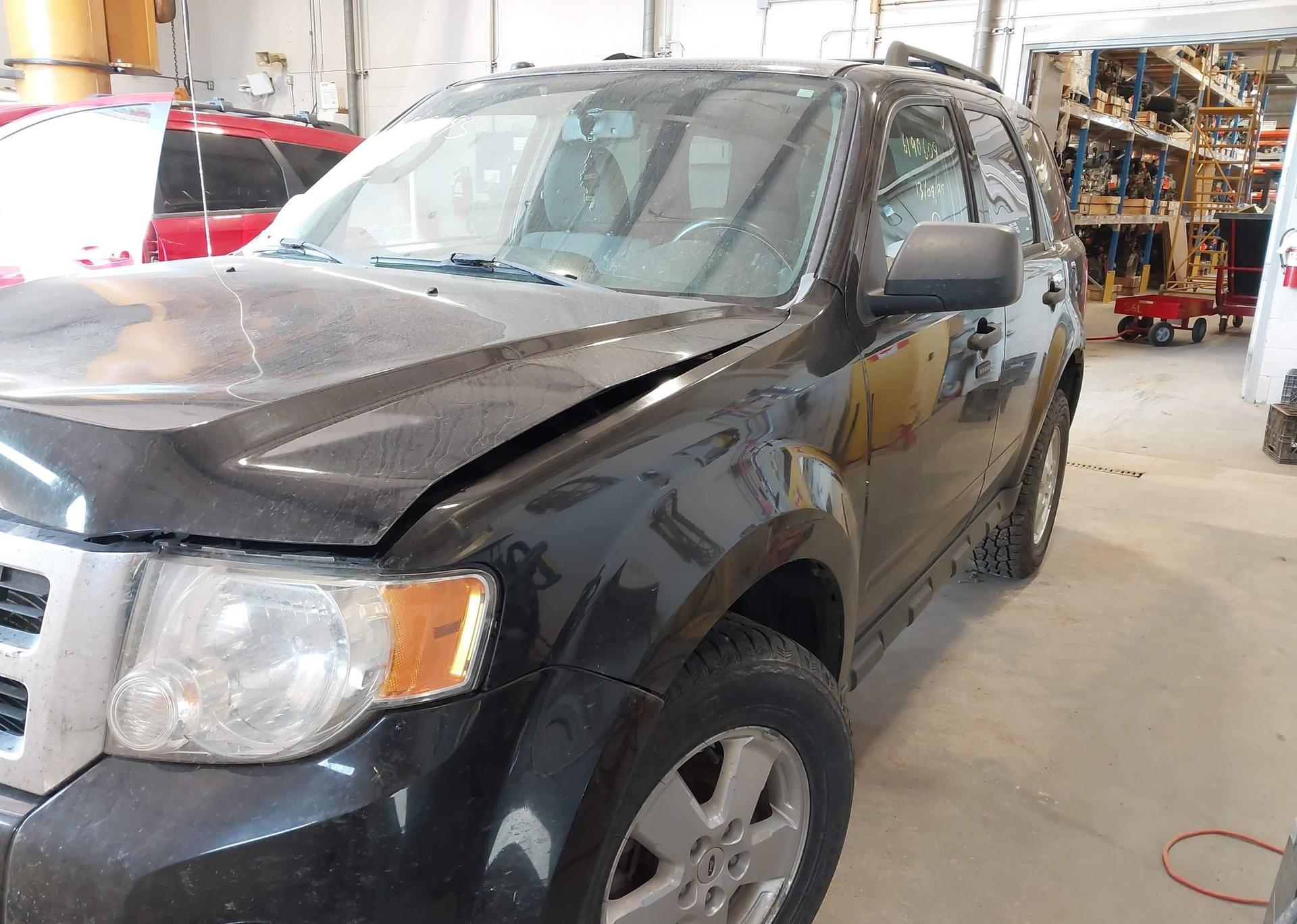 2011 FORD ESCAPE XLT
