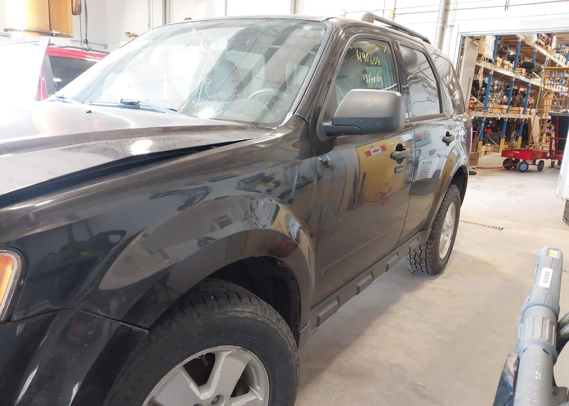 2011 FORD ESCAPE XLT