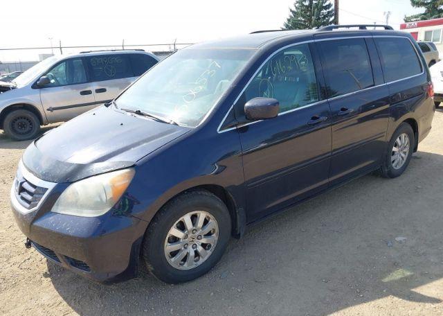 2008 HONDA ODYSSEY EXL
