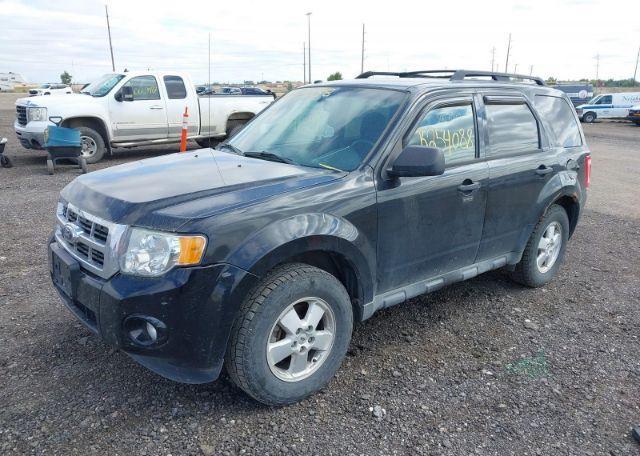 2012 FORD ESCAPE XLT