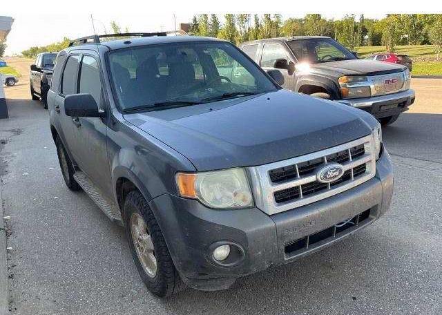 2011 FORD ESCAPE XLT