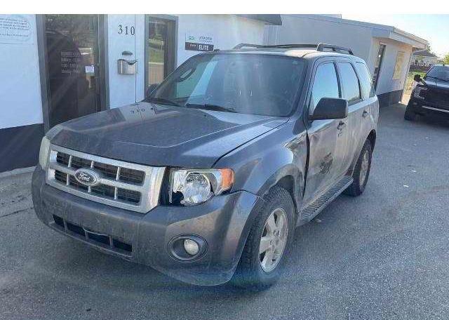 2011 FORD ESCAPE XLT