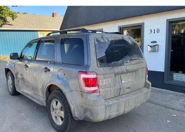 2011 FORD ESCAPE XLT