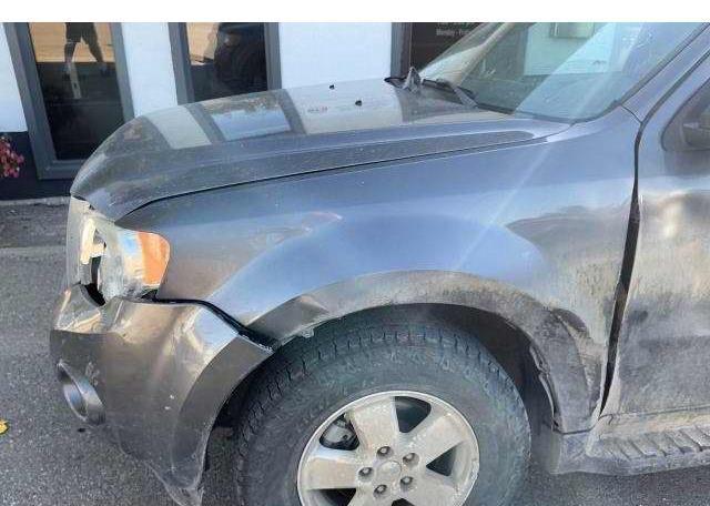 2011 FORD ESCAPE XLT