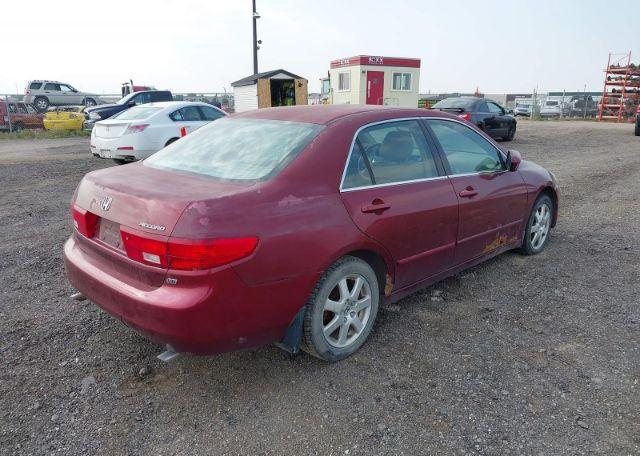 2005 HONDA ACCORD EX