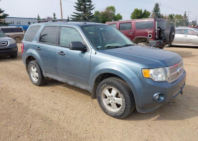 2011 FORD ESCAPE XLT