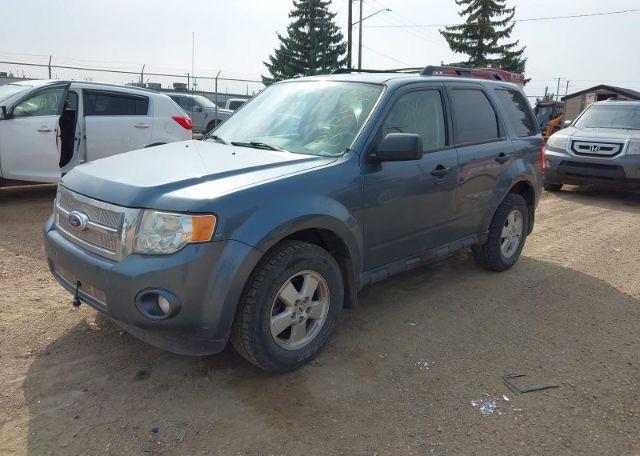 2011 FORD ESCAPE XLT