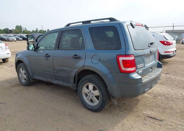 2011 FORD ESCAPE XLT