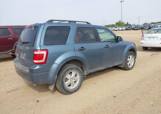 2011 FORD ESCAPE XLT
