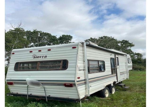 1991 TRANSCRAFT CORP COBRA