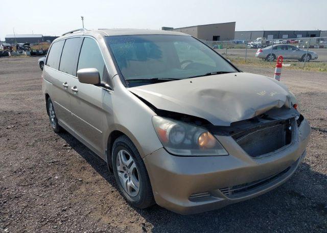 2007 HONDA ODYSSEY EXL
