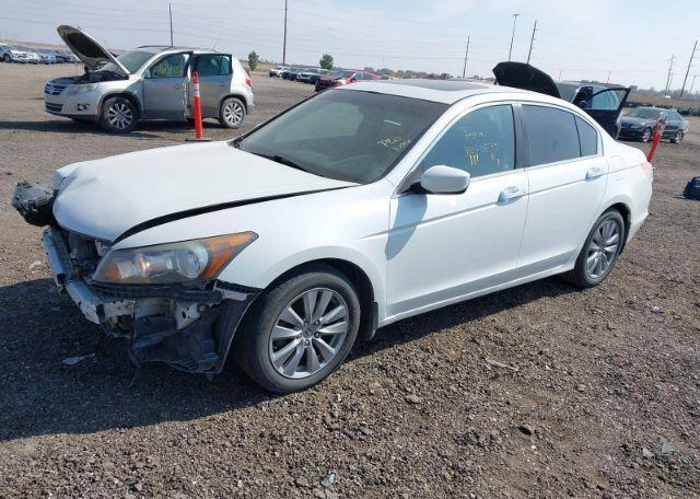 2012 HONDA ACCORD EXL