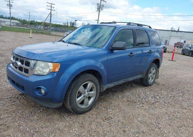 2009 FORD ESCAPE XLT