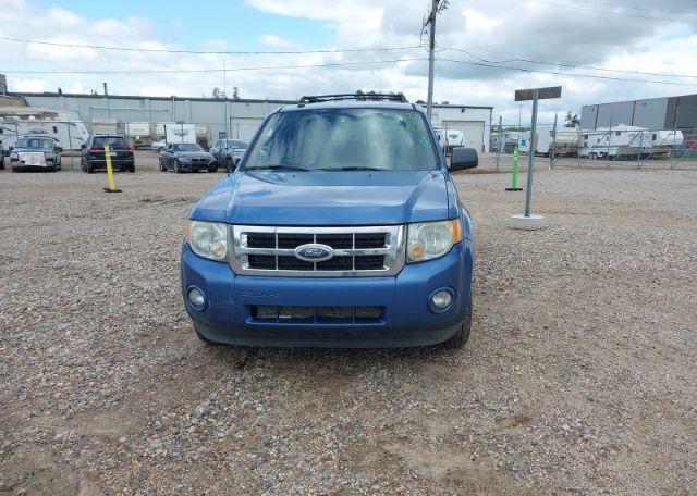 2009 FORD ESCAPE XLT