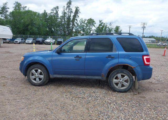 2009 FORD ESCAPE XLT