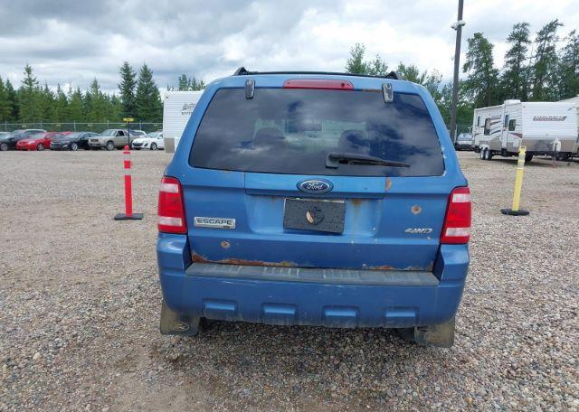 2009 FORD ESCAPE XLT