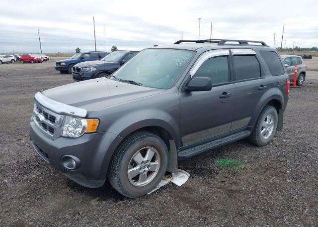2012 FORD ESCAPE XLT