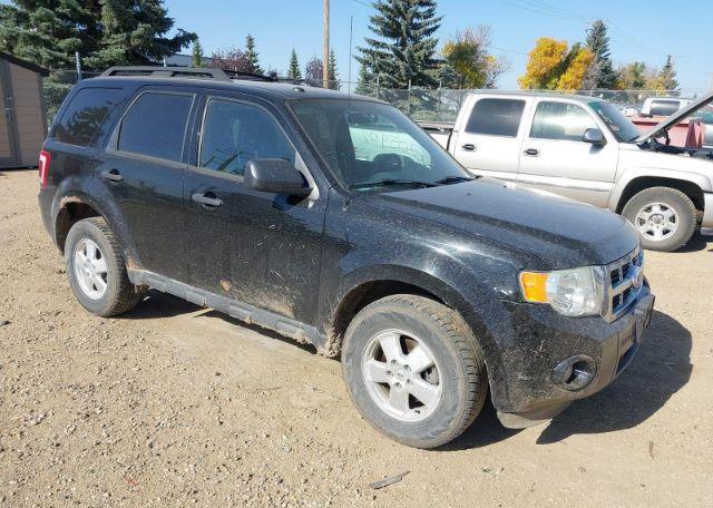2012 FORD ESCAPE XLT