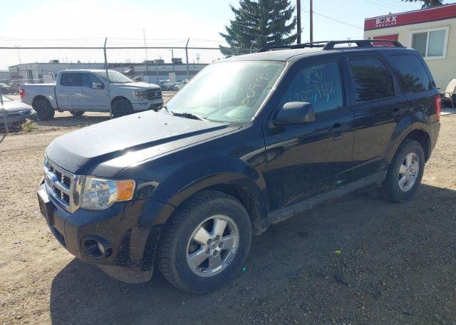 2012 FORD ESCAPE XLT