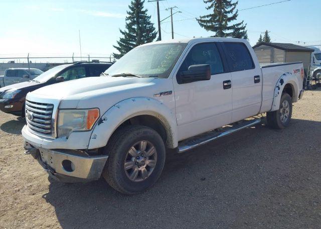 2010 FORD F-150