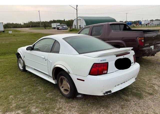 1999 FORD MUSTANG