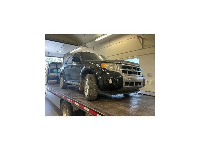 2010 FORD ESCAPE LIMITED