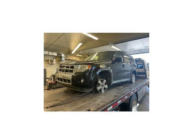 2010 FORD ESCAPE LIMITED