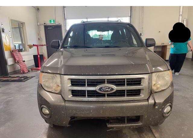 2012 FORD ESCAPE XLT