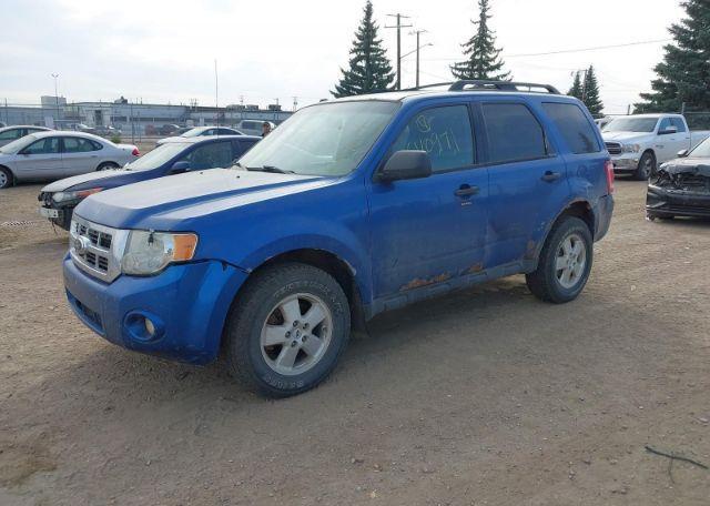 2011 FORD ESCAPE XLT