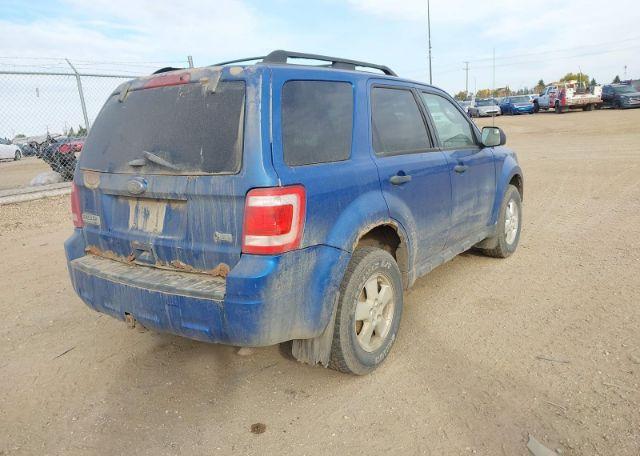 2011 FORD ESCAPE XLT
