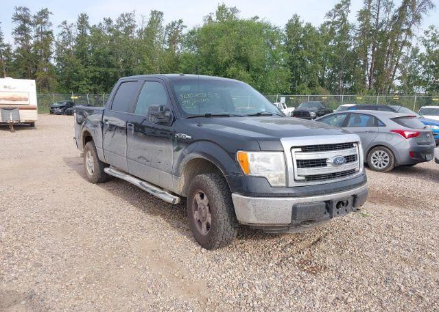 2013 FORD F150 SUPERCREW