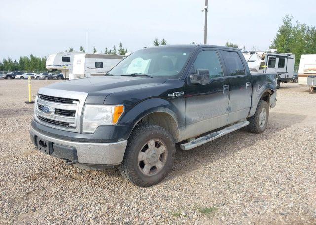 2013 FORD F150 SUPERCREW